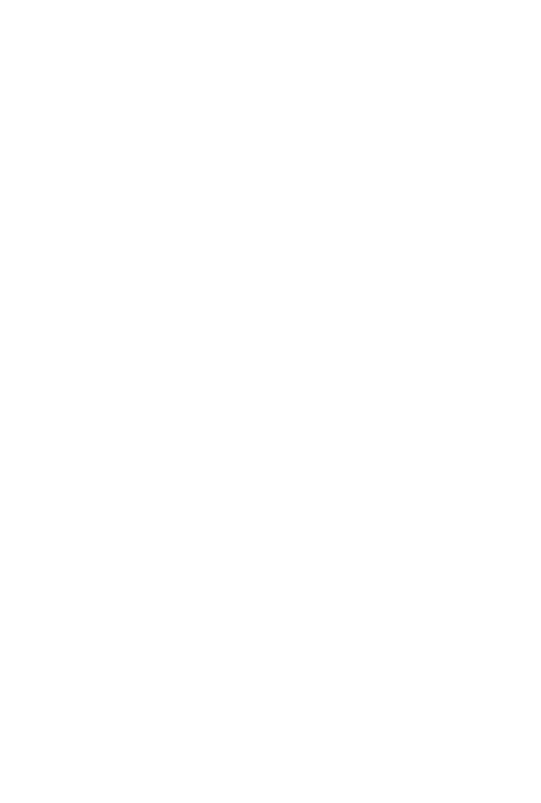 Noska-Shape